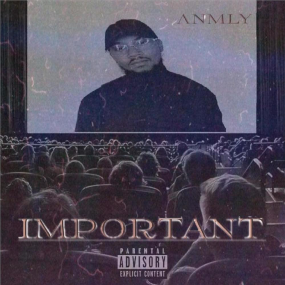 Important (Explicit)