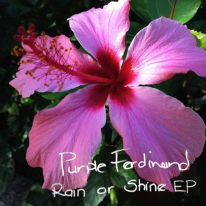 Album Rain or Shine from Purple Ferdinand