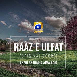 收聽Shani Arshad的Raaz-E-Ulfat (Original Score)歌詞歌曲
