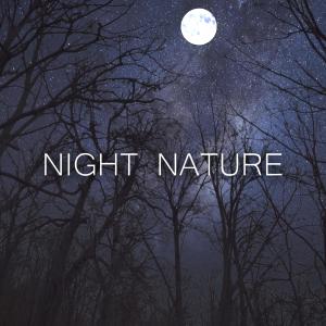 DRXM的專輯Night Nature