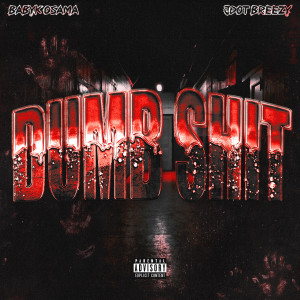 Album Dumb Shit (Explicit) from BabyK Osama