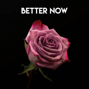 Listen to Better Now (Explicit) song with lyrics from Vibe2Vibe