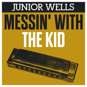Listen to The Things I Do For You song with lyrics from Junior Wells