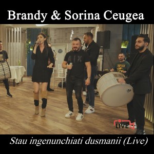 Album Stau ingenunchiati dusmanii (Live) oleh Brandy