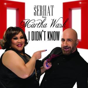 Dengarkan I Didn't Know (Cutmore Club Remix) lagu dari Serhat dengan lirik