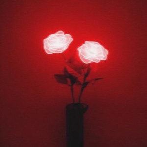 Listen to Without You (Explicit) song with lyrics from Indii G.