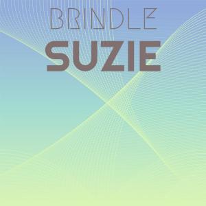 อัลบัม Brindle Suzie ศิลปิน Various