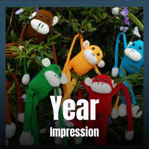 Album Year Impression from Various