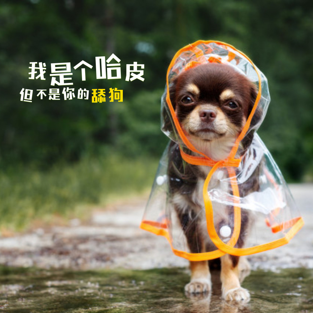 ☆我是个哈皮但不是你的舔狗☆