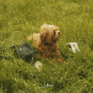 Album Sag from BGA
