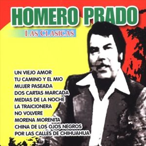 ดาวน์โหลดและฟังเพลง Mujer Paseada พร้อมเนื้อเพลงจาก Homero Prado