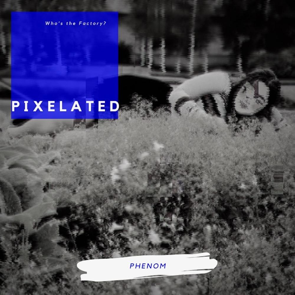 Pixelated