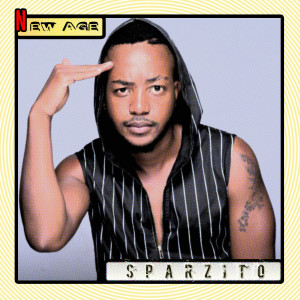 ดาวน์โหลดและฟังเพลง Shake It Up พร้อมเนื้อเพลงจาก Sparzito