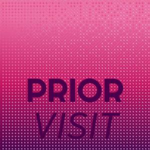 Album Prior Visit from Various