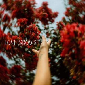อัลบัม Love Grows (Where My Rosemary Goes) ศิลปิน Taylor Conrod