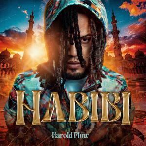 Album Habibi from Harold Flow