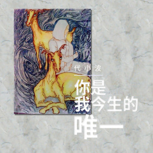 收听代小波的你是我今生的唯一歌词歌曲