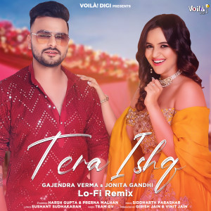 Listen to Tera Ishq (Lo-Fi Remix) song with lyrics from Gajendra Verma