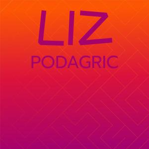 อัลบัม Liz Podagric ศิลปิน Various