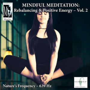 收聽Current的Mindful Meditations - Rebalancing & Positive Energy, Vol. 2歌詞歌曲