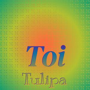 Album Toi Tulipa oleh Various