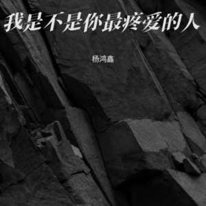 杨鸿鑫的专辑我是不是你最疼爱的人
