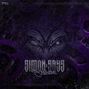 ดาวน์โหลดและฟังเพลง Sonar Alert พร้อมเนื้อเพลงจาก Blooded Minds