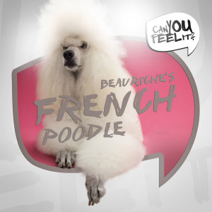 Beauriche的专辑French Poodle