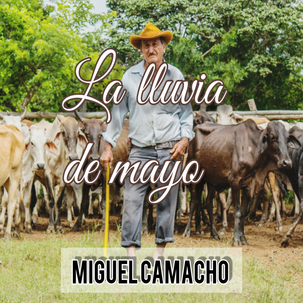 La Lluvia de Mayo