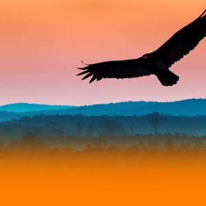 Album Peaceful Ambient Music For Deep Sleep And Stress Relief from The Sleep Helpers