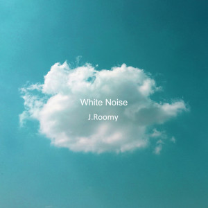 อัลบัม White Noise ศิลปิน J.Roomy