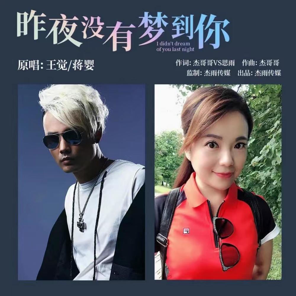 昨夜没有梦到你 (伴奏)