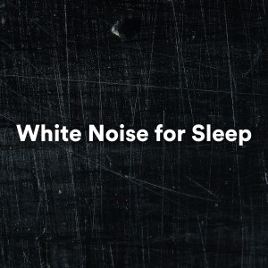 Album White Noise for Sleep from White Noise