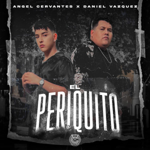 Listen to El Periquito song with lyrics from Angel Cervantes