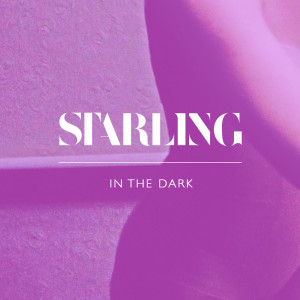 ดาวน์โหลดและฟังเพลง In the Dark พร้อมเนื้อเพลงจาก Starling