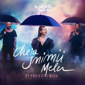Dj Project的专辑Cheia Inimii Mele (Adrian Funk & OLiX Remix)
