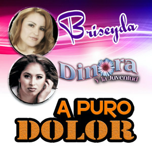ดาวน์โหลดและฟังเพลง No Vales Nada พร้อมเนื้อเพลงจาก Briseyda Y Los Muchachos