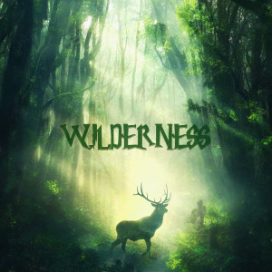 Album Wilderness oleh Carnival Crooks