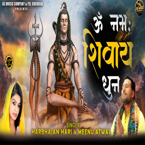 Album Om Namah Shivay (Dhun) from 