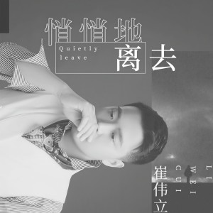 收听崔伟立的悄悄地离去歌词歌曲