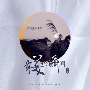 Listen to 最美的瞬间 (女版) song with lyrics from 弹棉花的小花