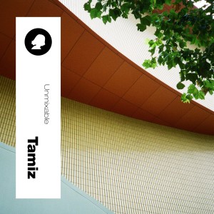 Listen to Unmixable - 달라서 song with lyrics from Tamiz