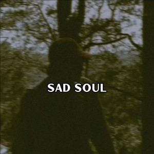 Listen to Sad Soul song with lyrics from AGUS SITEPU