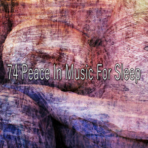 Listen to Rested Wonder song with lyrics from Spa Music Paradise