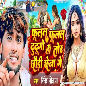 Listen to Fulla Fulla Dudugo Hau Tor Chhudi Chena Ge song with lyrics from Ritesh Deewana
