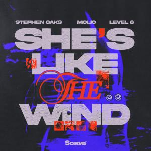 อัลบัม She's Like The Wind ศิลปิน Stephen Oaks