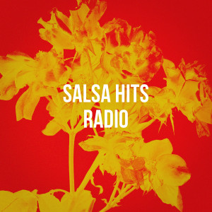 Salsa Latin 100%的专辑Salsa Hits Radio