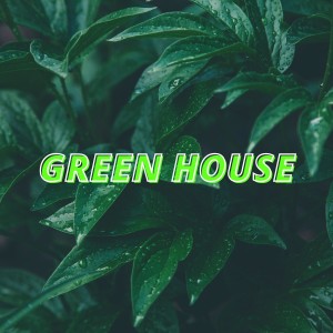 Listen to Hot Guitar song with lyrics from Chill Groovers