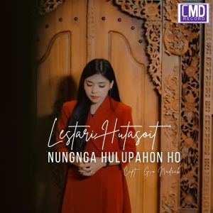 Album Nungnga Hulupahon Ho (Explicit) from Lestari Hutasoit