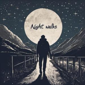 FordZ的專輯Night Walks